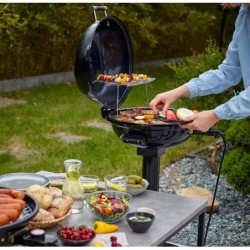 Elektrogrill Vertikalgrill mit Deckel und Sockel,einstellbare Temperatur